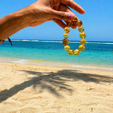Genuine Dominican Amber Unisex Bracelet
