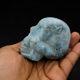 Larimar Skull Carving – Hand Carved Specimen Home Decor Collectors Gift