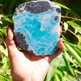 A hand holding a raw, polished baroque larimar gemstone featuring vibrant turquoise blue calcite crystals on a dark gray and white matrix, set against a blurred background of green foliage.