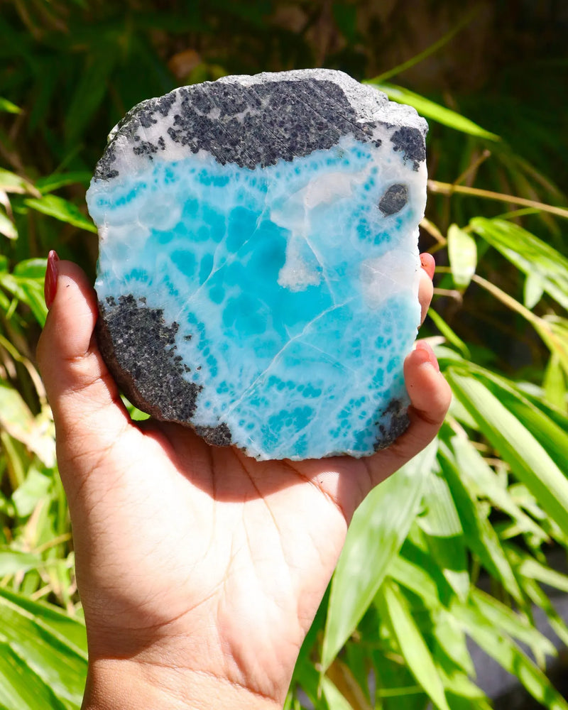 A hand holding a raw, polished baroque larimar gemstone featuring vibrant turquoise blue calcite crystals on a dark gray and white matrix, set against a blurred background of green foliage.