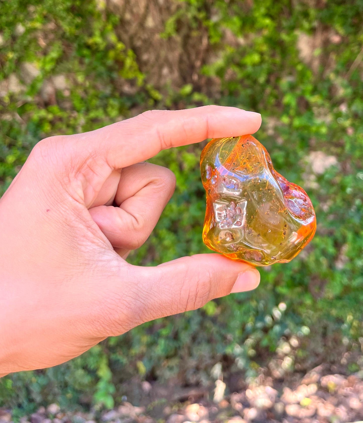 Dominican Amber
