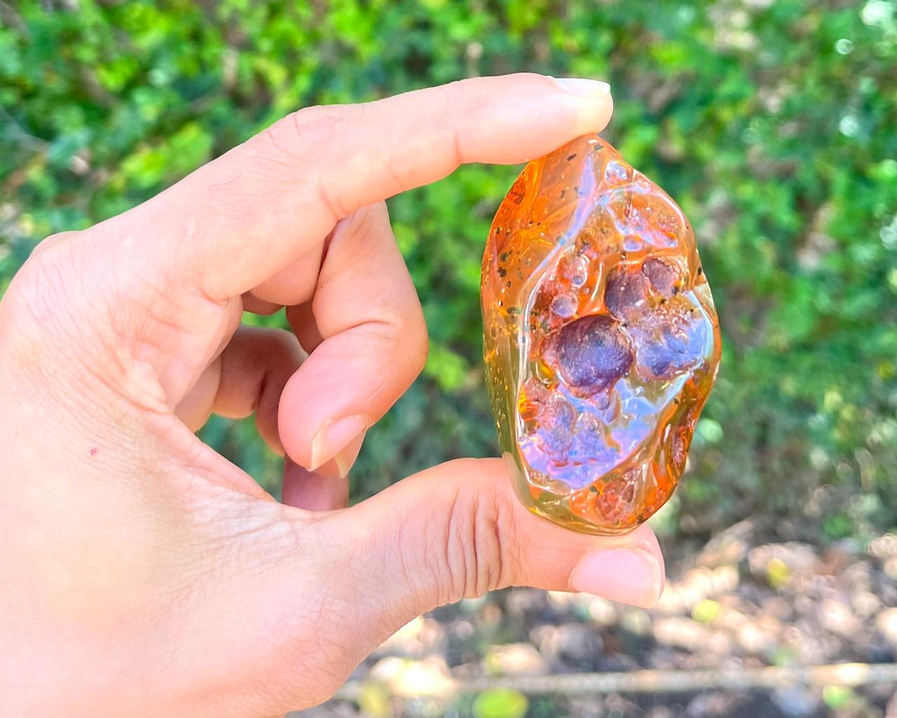 Dominican Amber