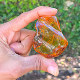 Dominican Amber