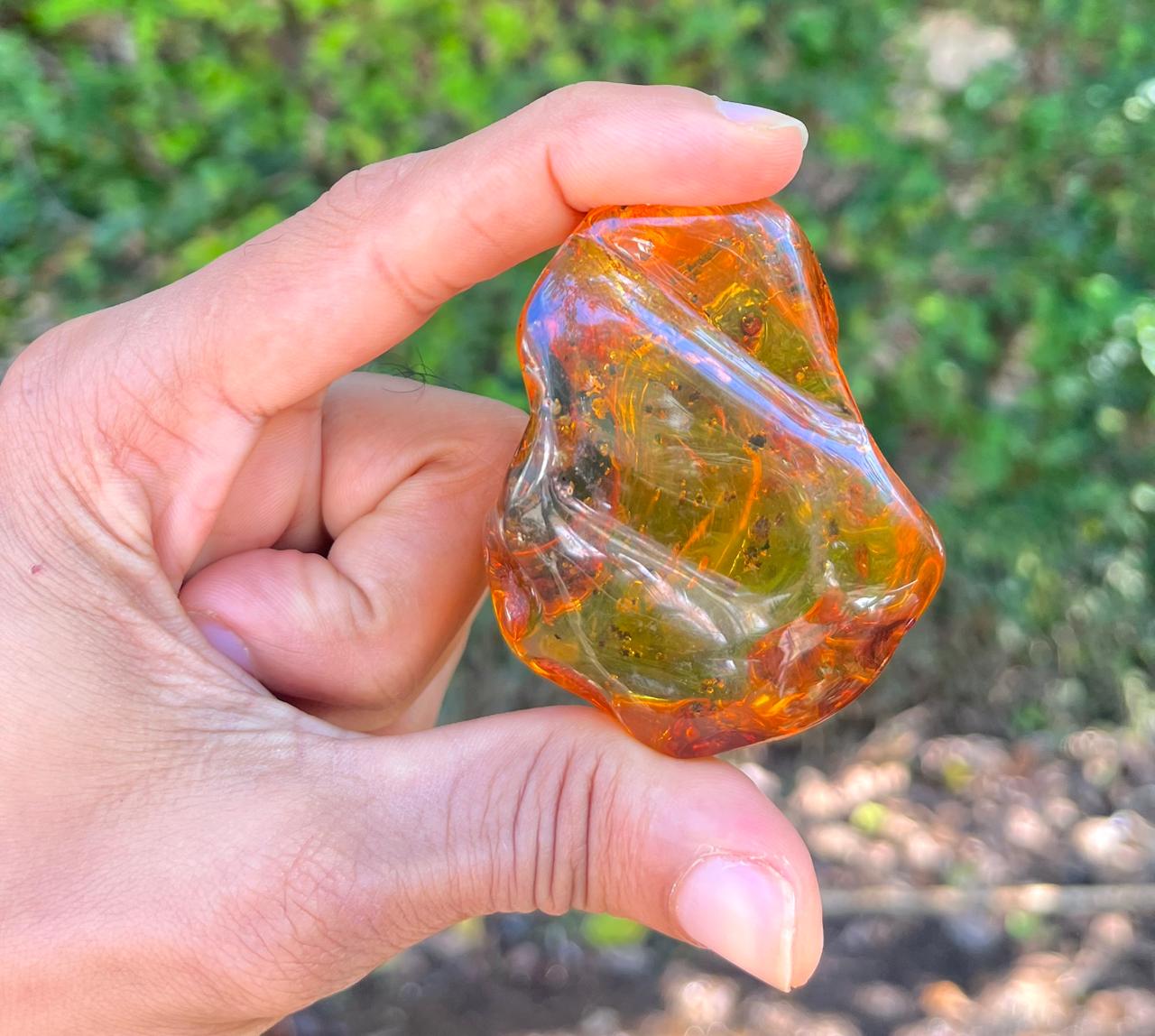 Dominican Amber