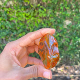 Dominican Amber