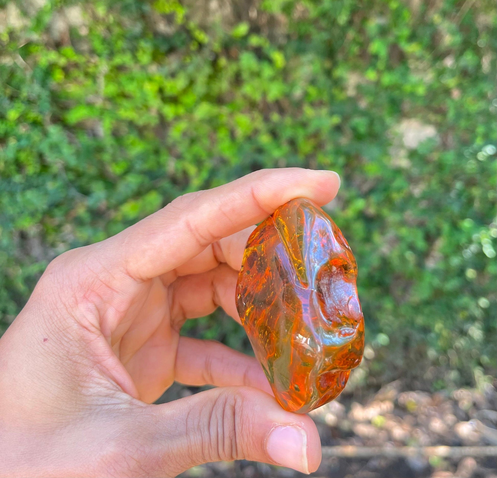 Dominican Amber
