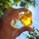 Dominican Amber