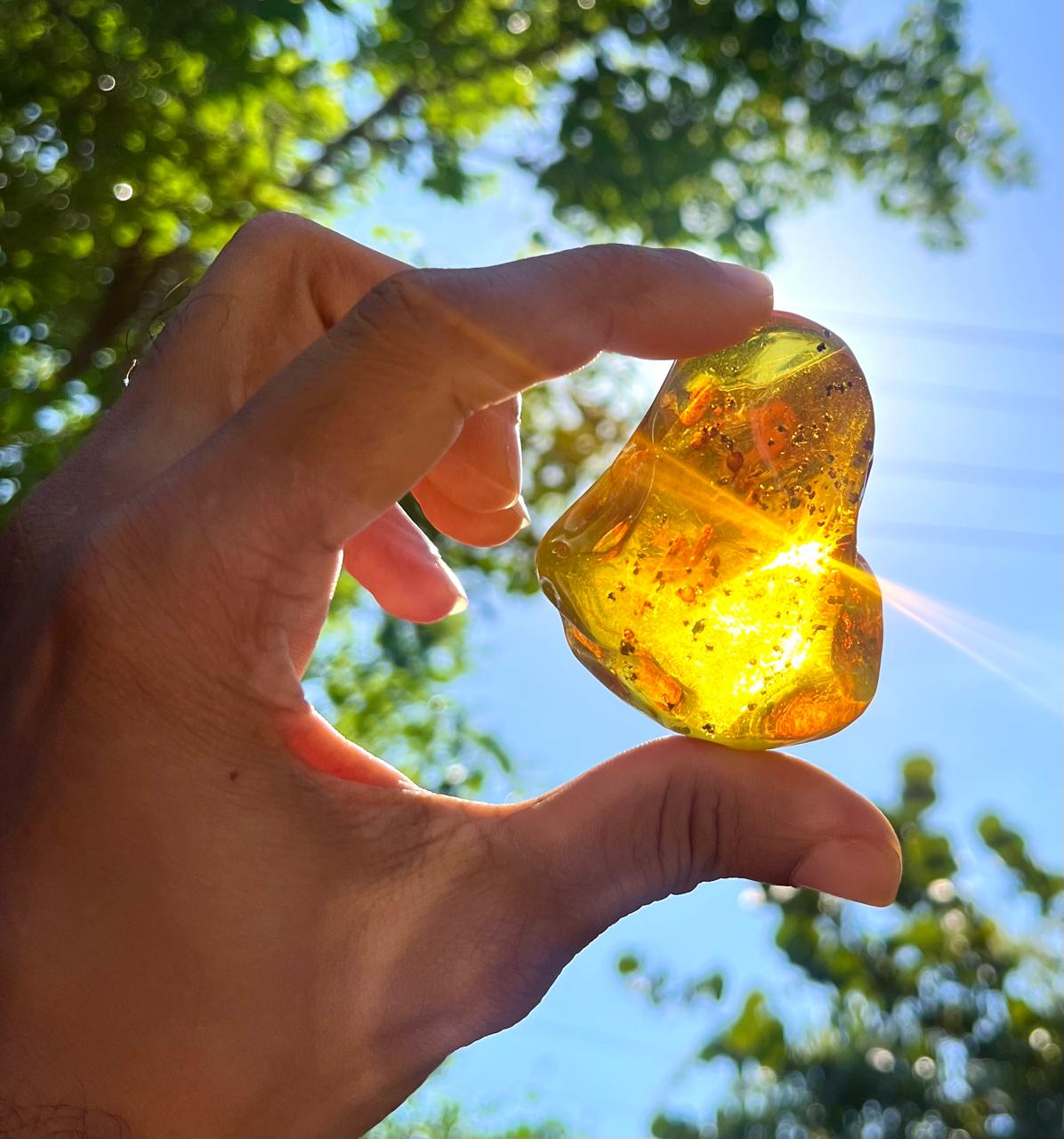 Dominican Amber