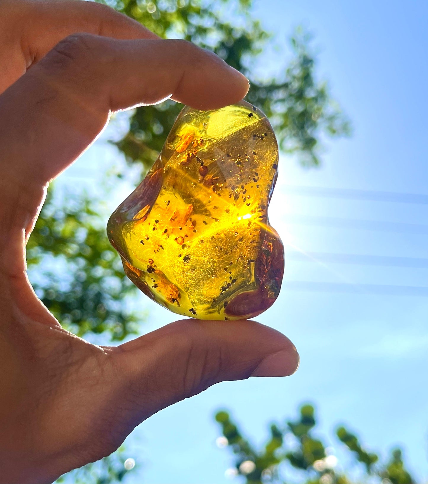 Dominican Amber