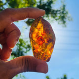 Dominican Amber Polished Stone, 55g Natural Fossil Resin Gemstone for Collecting or Jewelry Making