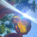 Dominican Amber Polished Stone, 55g Natural Fossil Resin Gemstone for Collecting or Jewelry Making