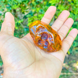 Dominican Amber Polished Stone, 55g Natural Fossil Resin Gemstone for Collecting or Jewelry Making