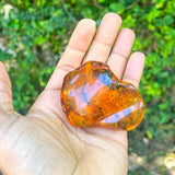 Dominican Amber Polished Stone, 55g Natural Fossil Resin Gemstone for Collecting or Jewelry Making