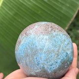 A hand holding a polished blue-green stone sphere with natural marbled textures, set against a background of large green tropical leaves.