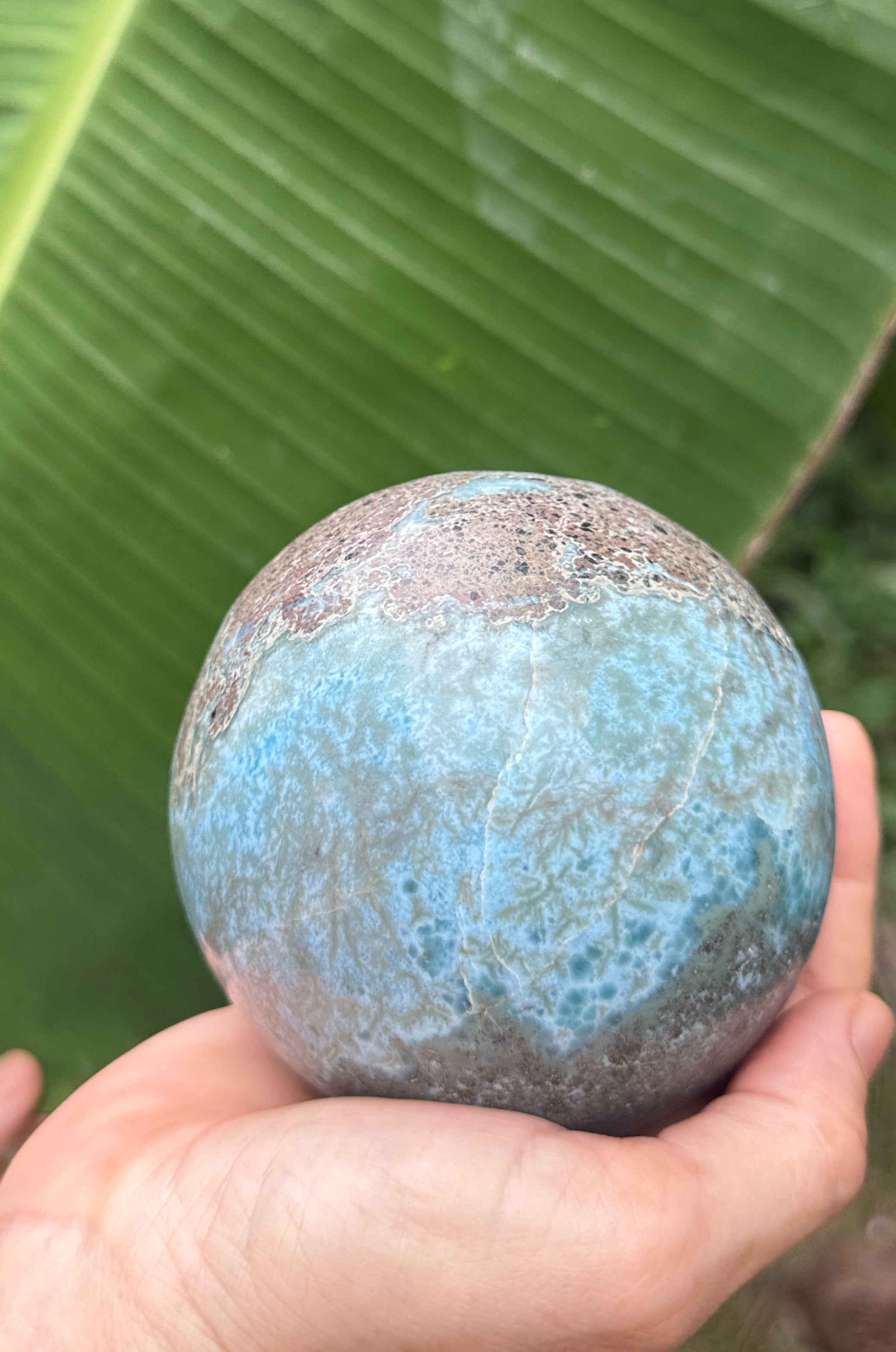 A hand holding a polished blue-green stone sphere with natural marbled textures, set against a background of large green tropical leaves.