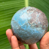 A hand holding a round, mottled blue and brown stone or crystal against a background of large green banana leaves.