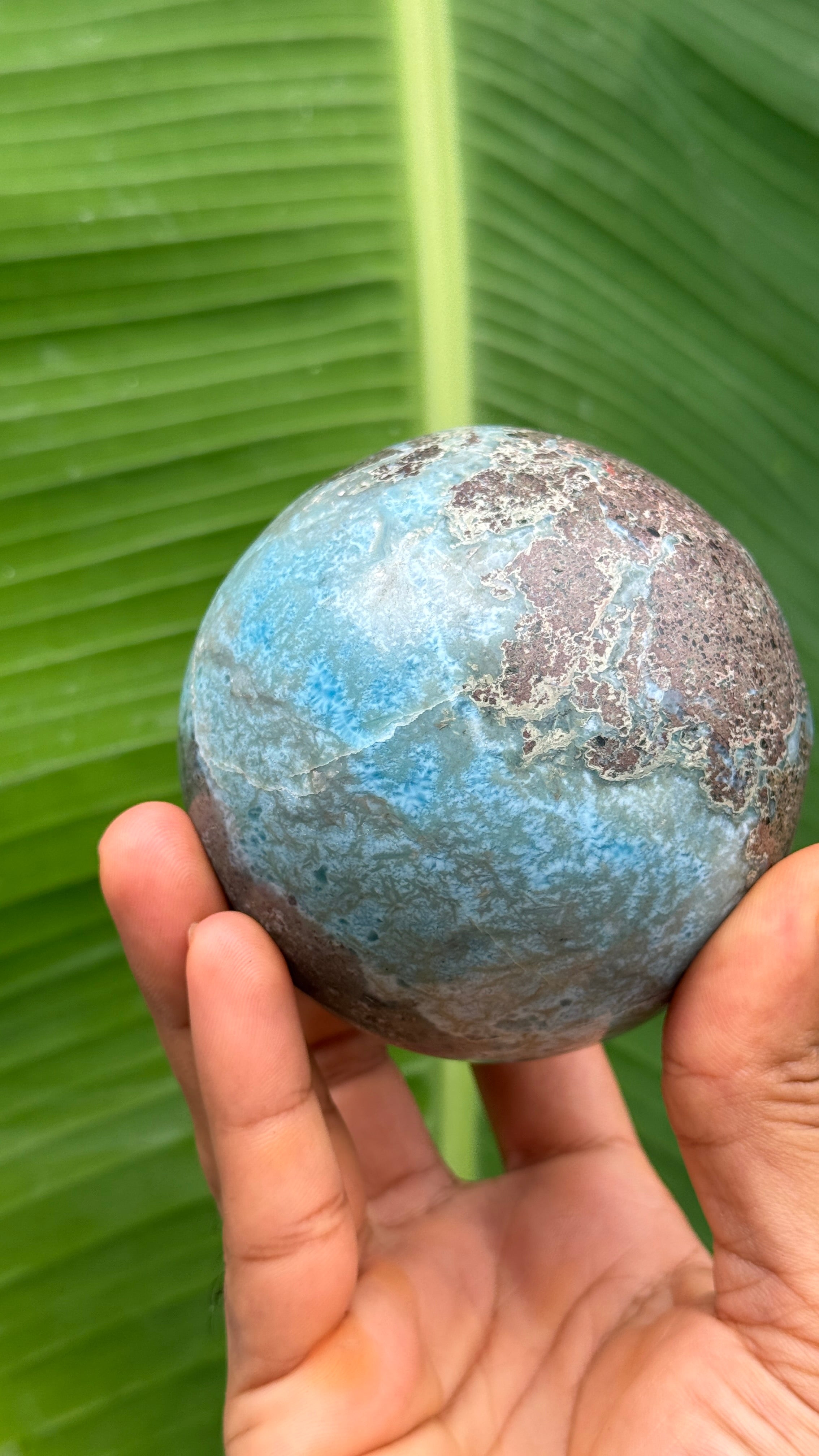 A hand holding a round, mottled blue and brown stone or crystal against a background of large green banana leaves.
